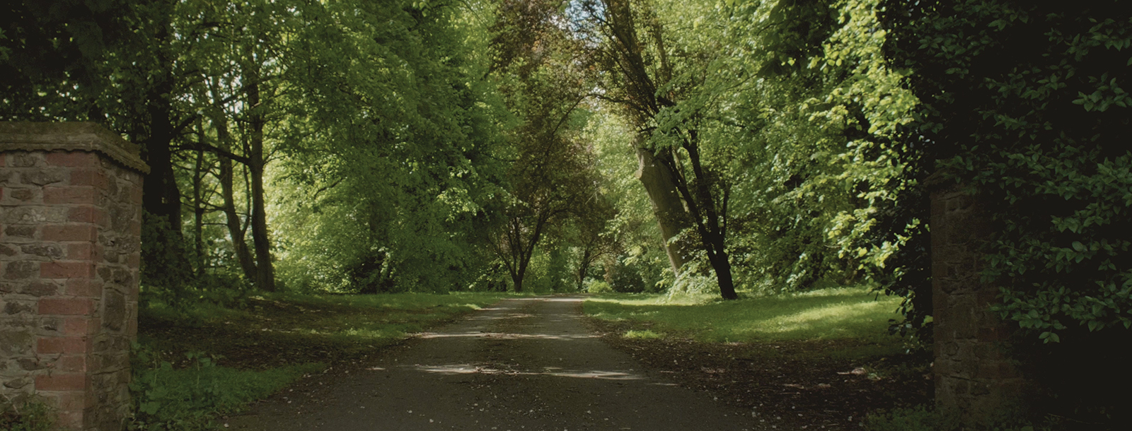Photo of the lane leading to the grounds of Woodley Moss Studios